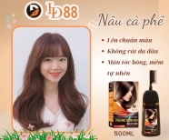 Gội Nhuộm Phủ Bạc Thảo Dược  Nâu 500ml LD88