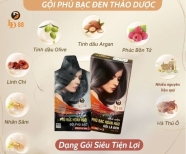 GỘI PHỦ BẠC ĐEN THẢO DƯỢC DẠNG GÓI LD88 ( 1 HỘP 5 GÓI)