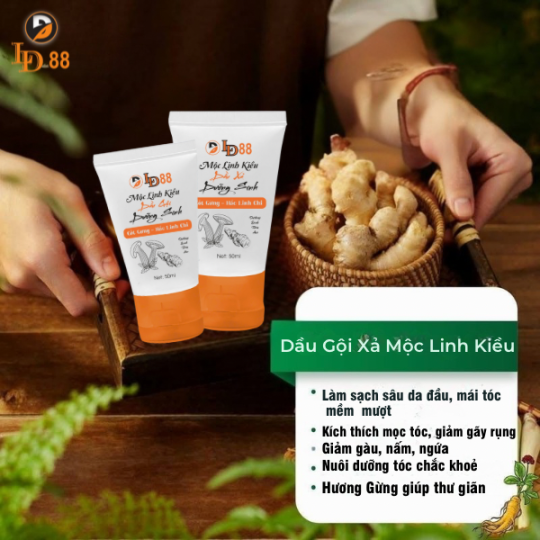 CẶP GỘI XẢ TUÝP - MỘC LINH KIỀU
